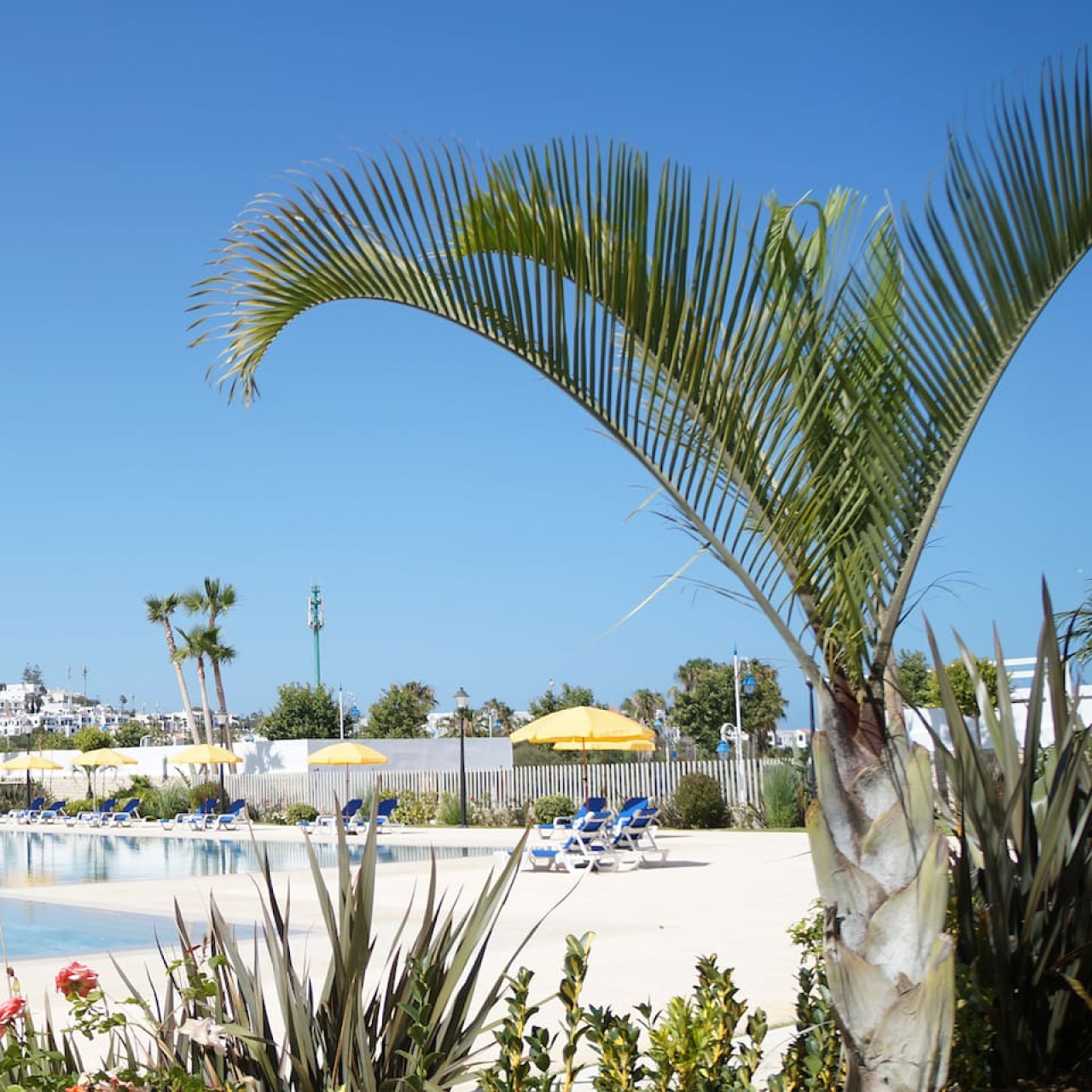 Luxury 2-bedroom apartment Casas del Mar in Cabo - Image 4